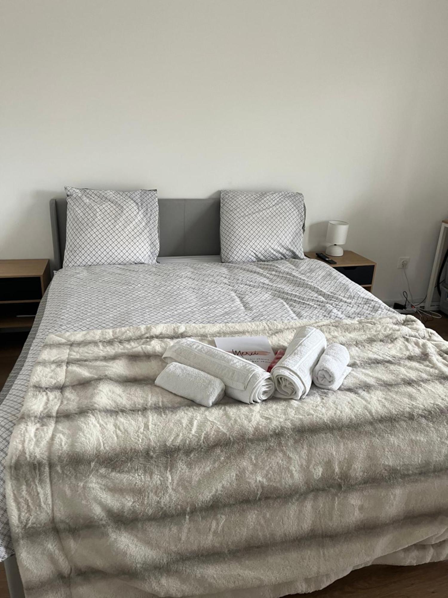 Appartement Luxueux Au Coeur De Lille Exterior photo